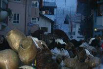 Bild 090